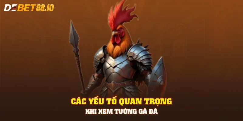 Các yếu tố quan trọng khi xem tướng gà đá