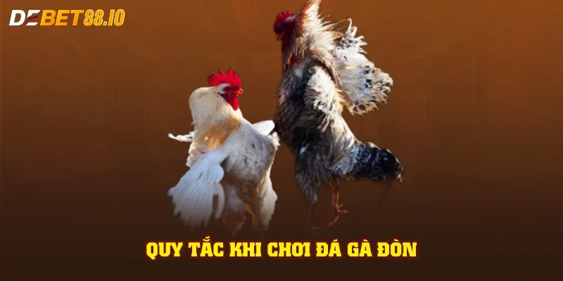 Quy tắc khi chơi đá gà đòn