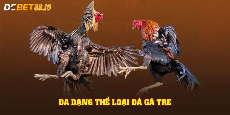 Đa dạng thể loại đá gà tre