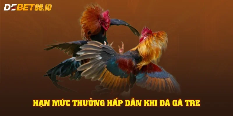 Hạn mức thưởng hấp dẫn khi đá gà tre