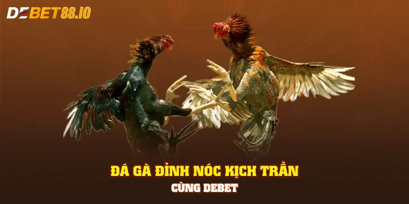 Đá gà đỉnh nóc kịch trần cùng DEBET