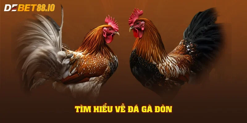 Tìm hiểu về đá gà đòn